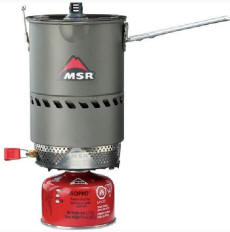 MSR Reactor