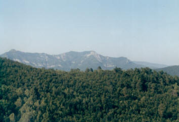 Папай