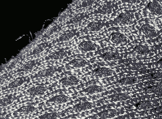 Air-mesh