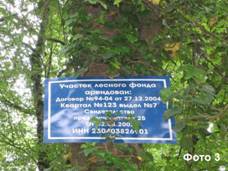 Участок лесного фонда арендован